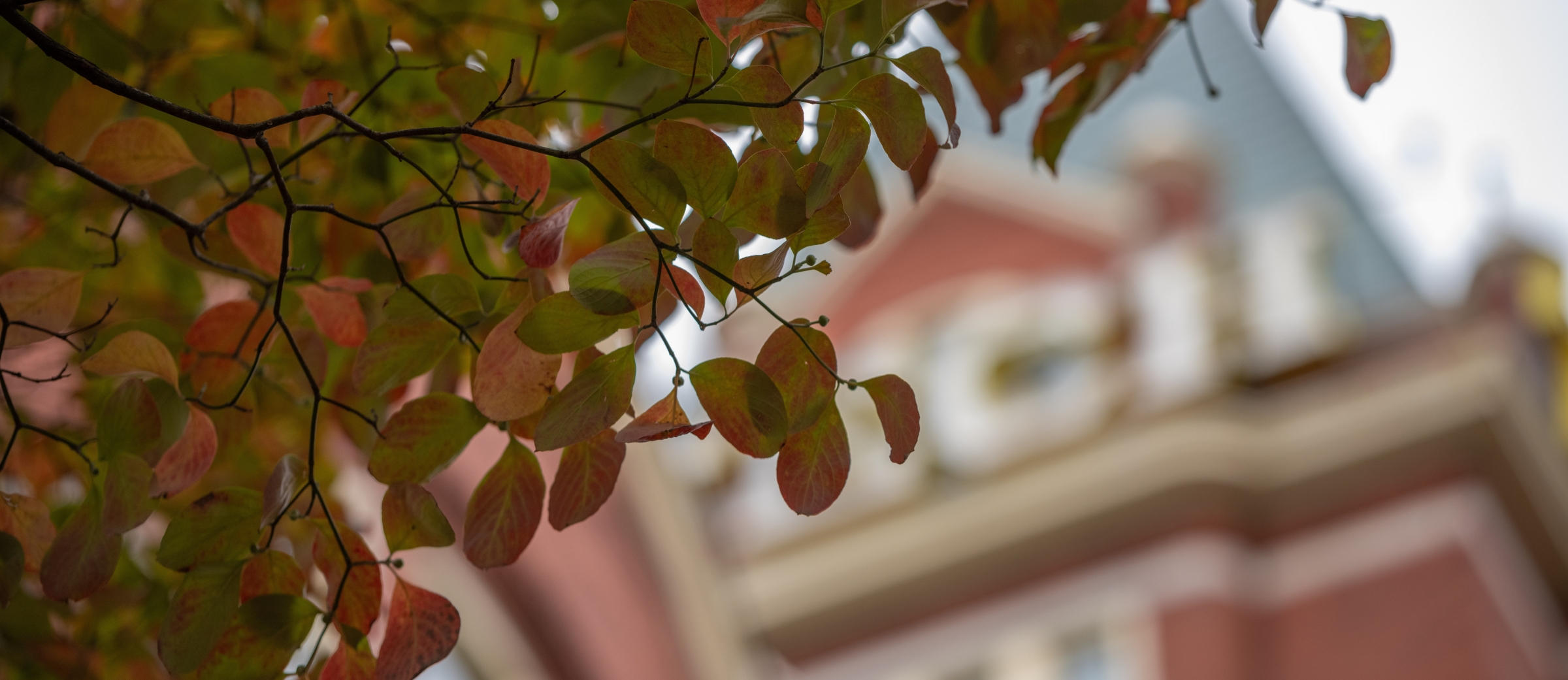 fall leaves over Tech Tower